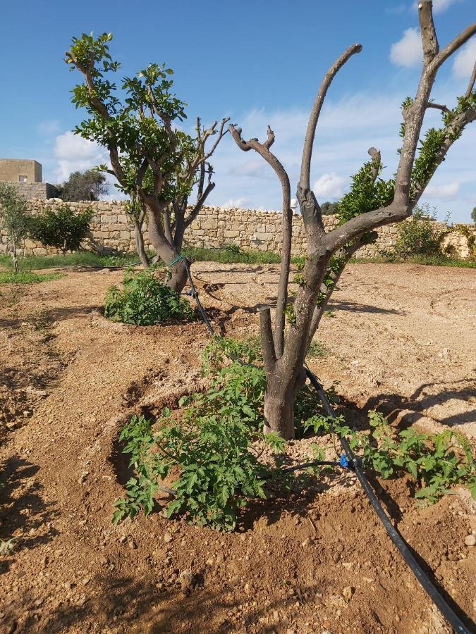 Villa Four Winds Birżebbuġa